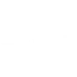 Best Source Electronic Corporation. logo