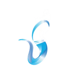 Summon Electronics INC logo