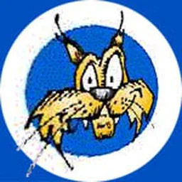 Wildcat Electronics logo