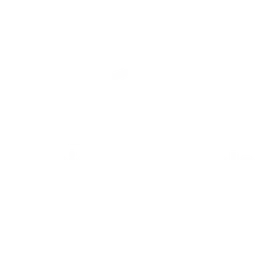 Precision Metals Inc logo
