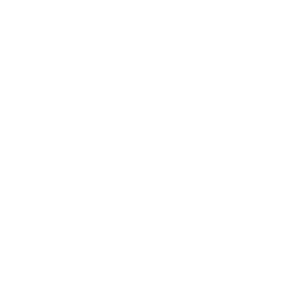 Magna Powertrain logo