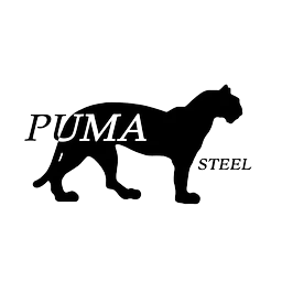 Puma Steel logo