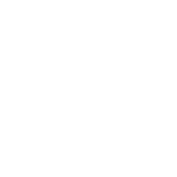 SemiPack Services Inc logo
