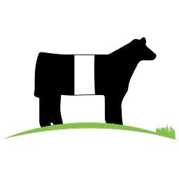 Casa Cattle Company logo