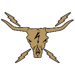 Texas Live Wire logo