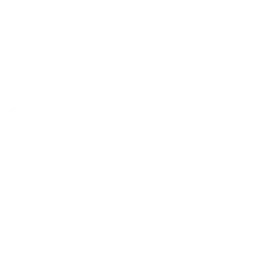 Ruff Tuff Products, LLC logo