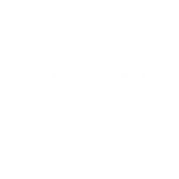 Qualus logo