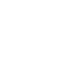 Basic American Foods logo