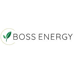 Boss Energy logo
