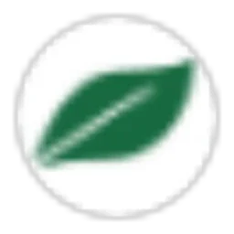 Paragon Woodworking logo