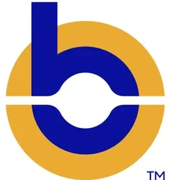 Bluepeak logo