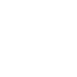 ACC Electronix, Inc logo